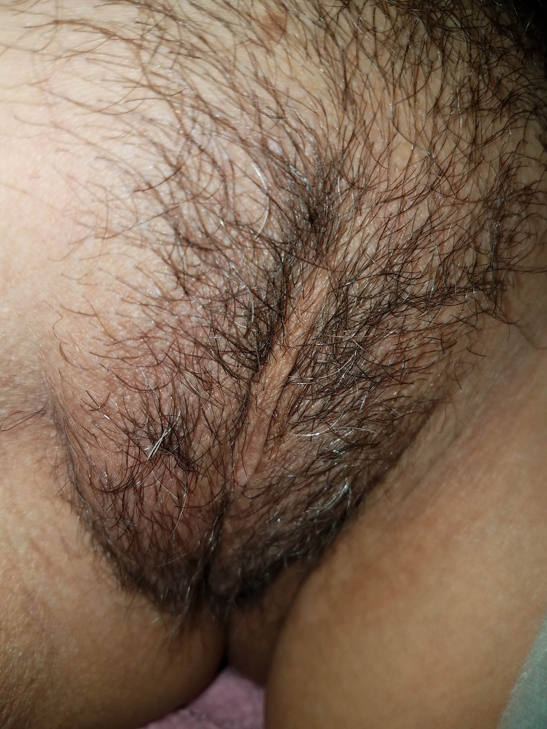 Buskig, inbjudande, stor fitta.