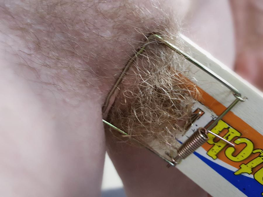 Fittan klämd i en råttfälla