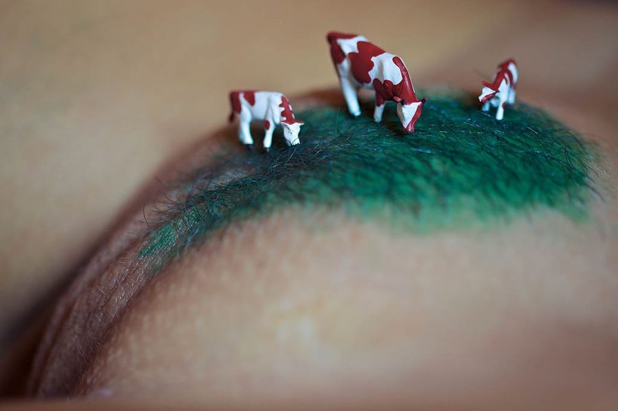 Små leksakskor på grönbete på fittan