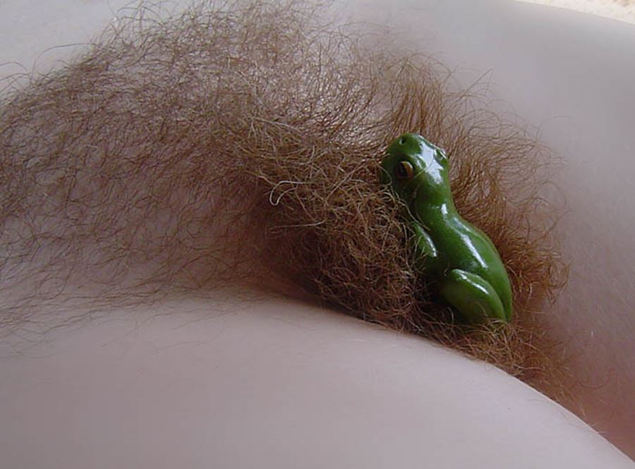 En plastgroda i den håriga fittan